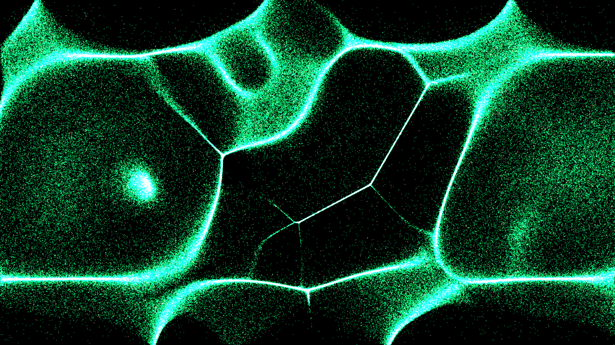 Universal Basic Income